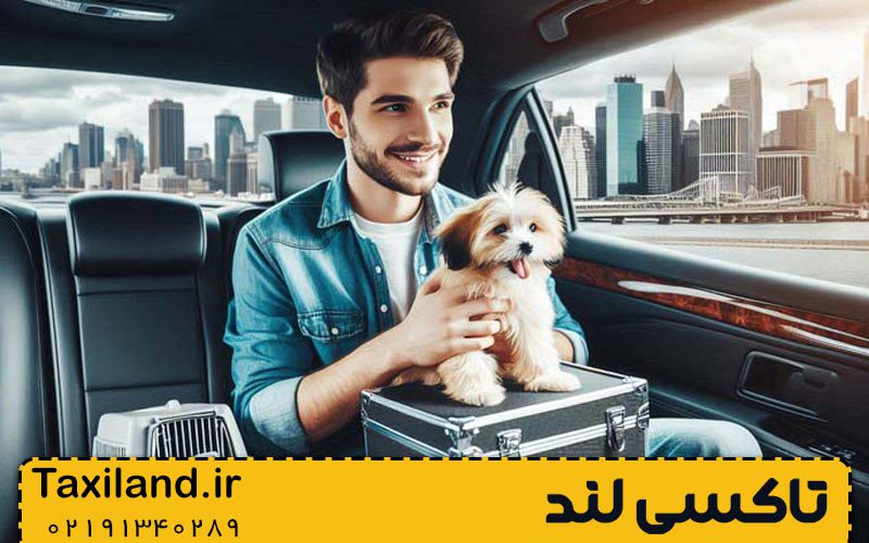 آماده سازی حیوان خانگی پیش از آغاز سفر بین شهری