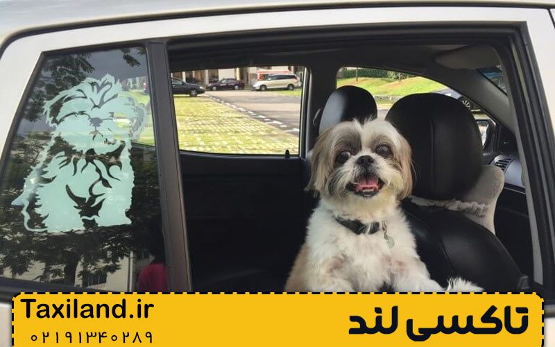 امنیت و سلامت حیوانات در سفرهای طولانی