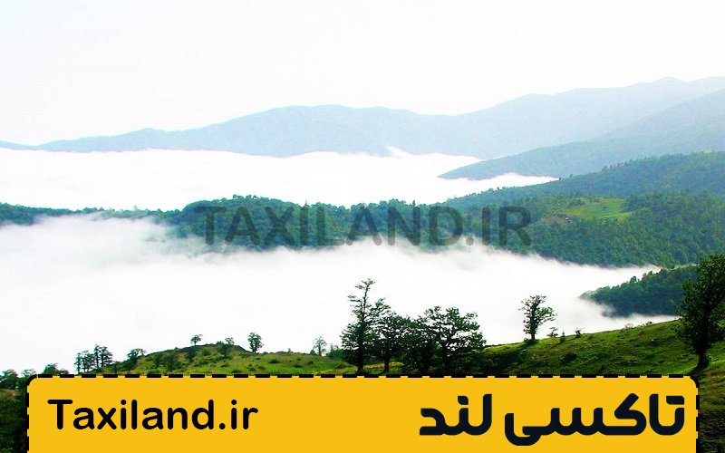 بهترین زمان سفر به جنگل‌ های ابر - تاکسی لند