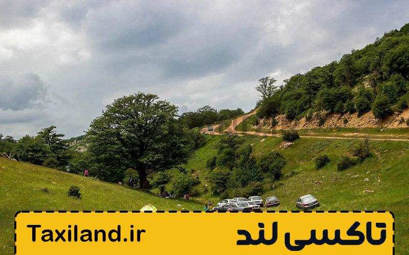بهترین زمان سفر به جنگل های ابر 2 نکات کاربردی برای سفر به جنگل های ابر - اندیشه سبز